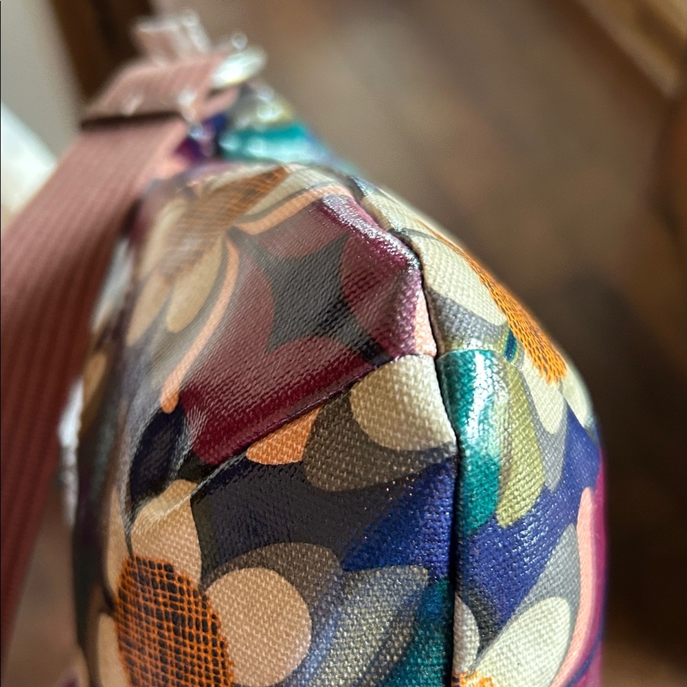 Fossil Set - Picture 9 of 16